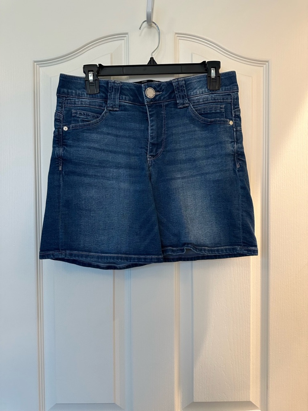 Democracy Absolution Denim Jean Shorts